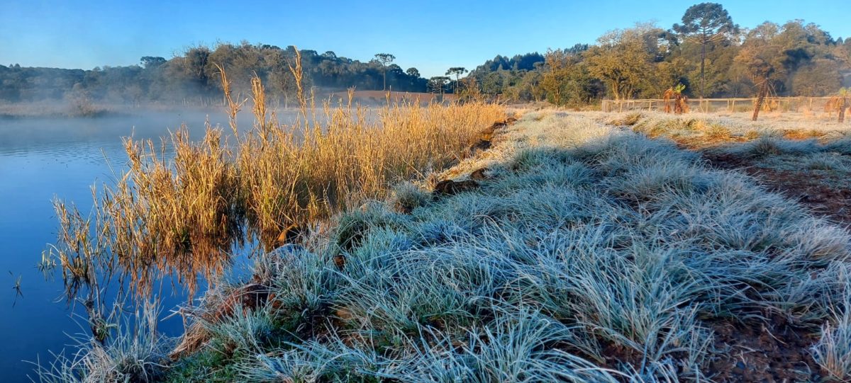 Simepar e Inmet preveem frio e risco de geada para o fim de semana em São Mateus do Sul