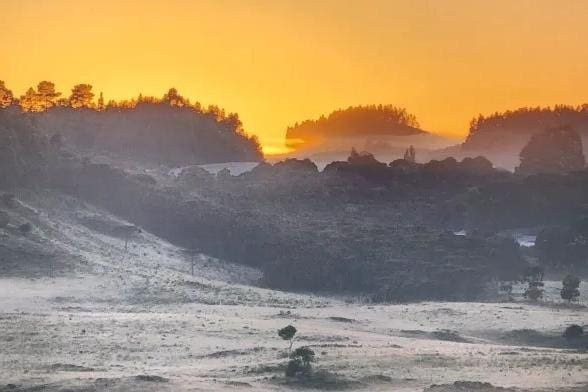 Em pleno verão, serra catarinense tem paisagem coberta por geada