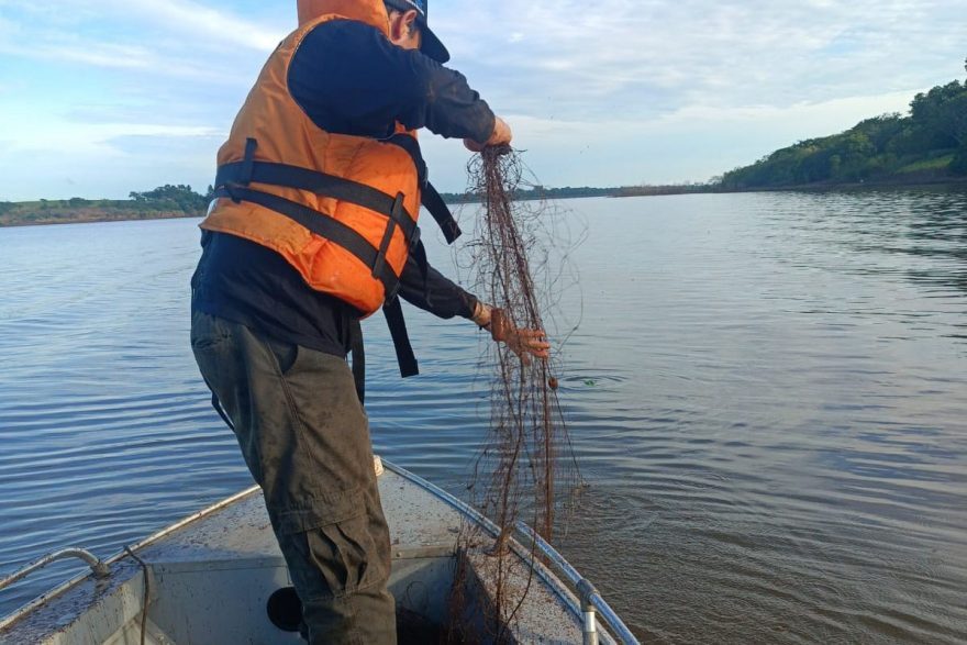 IAT aplica R$ 265 mil em multas e apreende mais de 194 kg de peixe durante a Piracema no PR