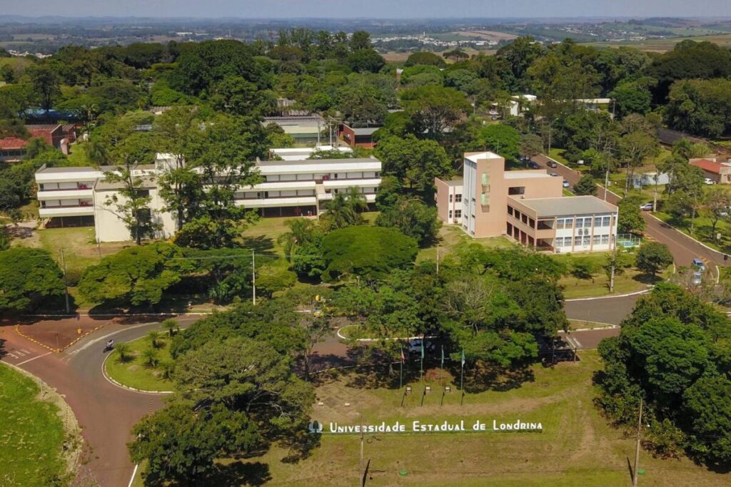 Universidades públicas do Paraná têm nota máxima no Enade