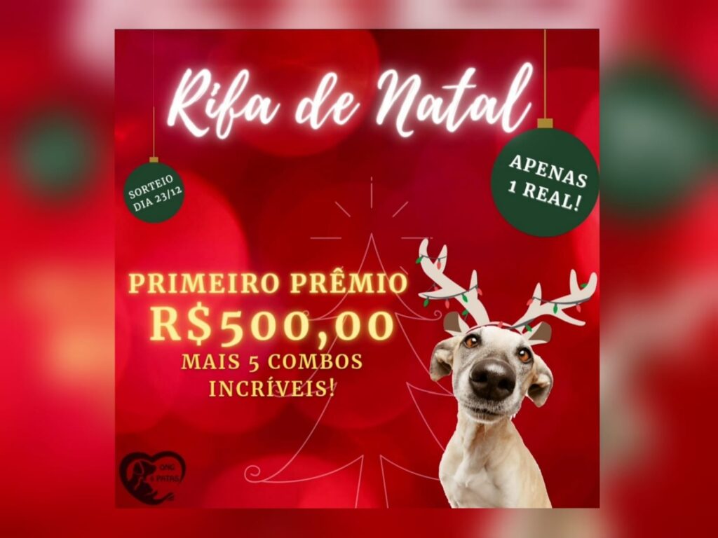 ONG 4 Patas faz rifa de Natal para arrecadar dinheiro e cobrir despesas de castrações