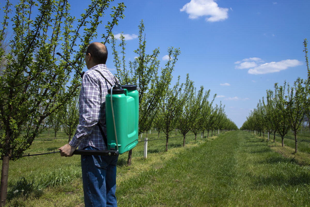 Consulta pública vai tratar de agrotóxicos para culturas minor crops