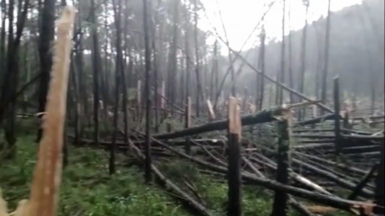 Tornado deixa rastros de destruição em município do RS