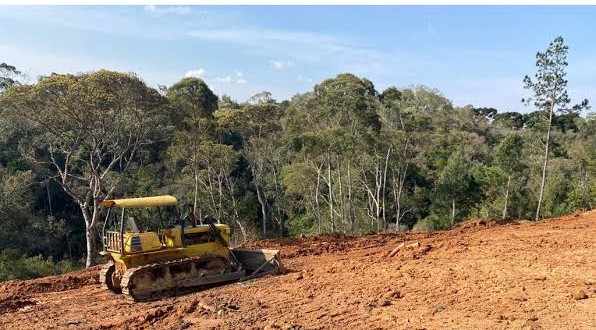 Polícia flagra destruição de vegetação nativa em Antônio Olinto