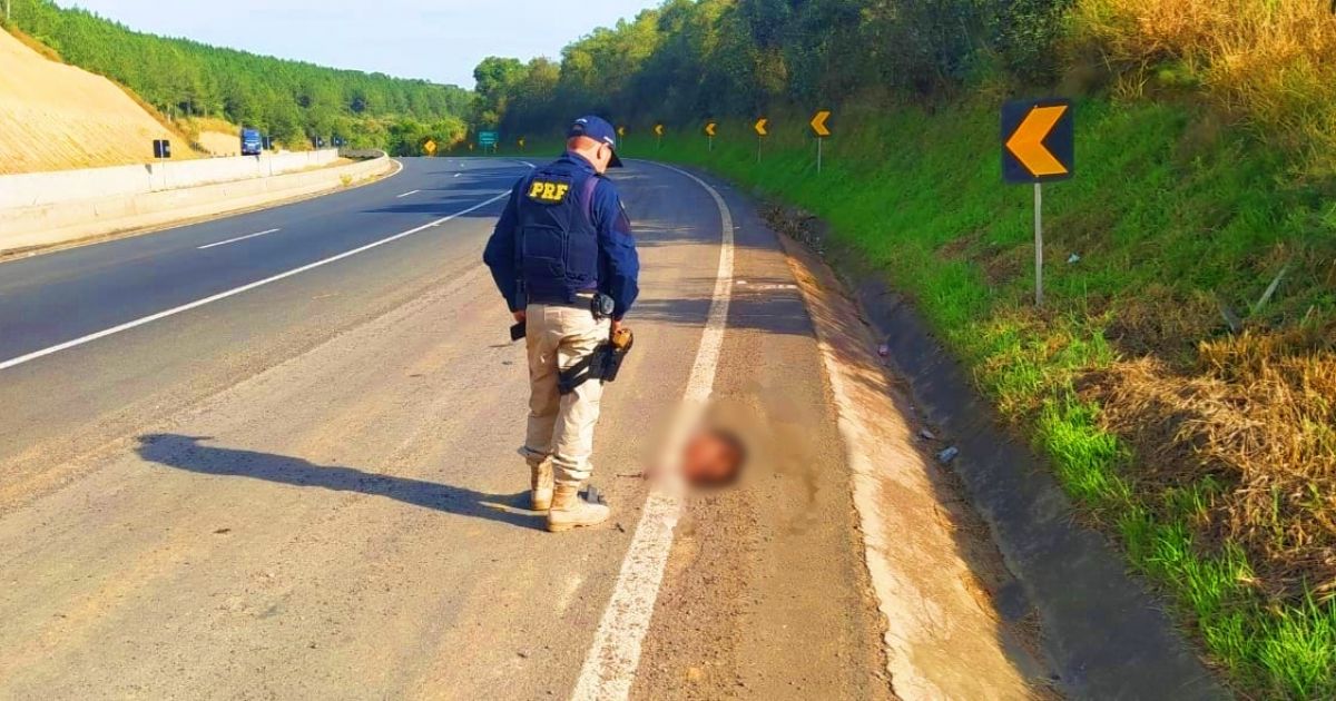 PRF encontra cabeça humana em rodovia do Paraná