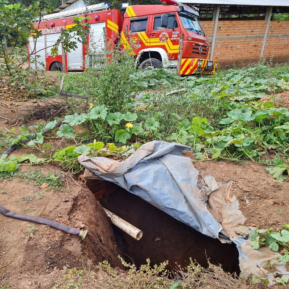 Bombeiros foram acionados para auxiliar na retirada de um animal da fossa