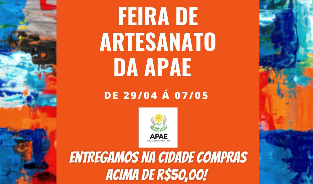 APAE de São Mateus do Sul promove Feira do Artesanato