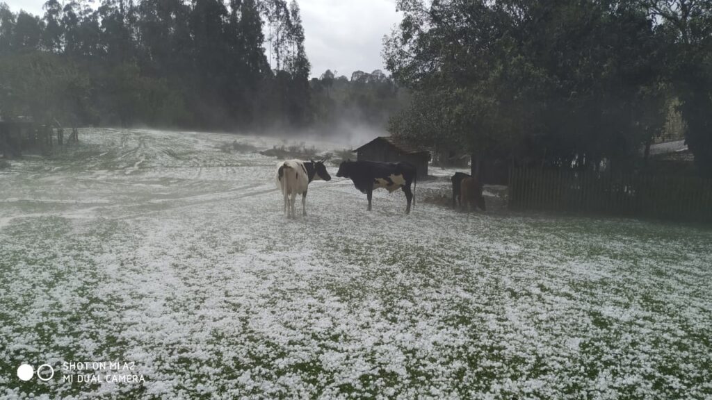 Temporal causa estragos na região na tarde de quarta-feira, 18