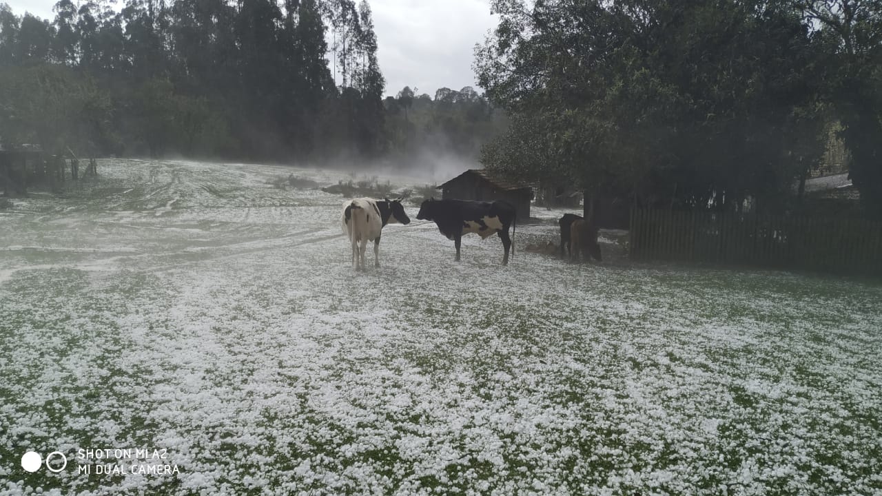 Temporal causa estragos na região na tarde de quarta-feira, 18