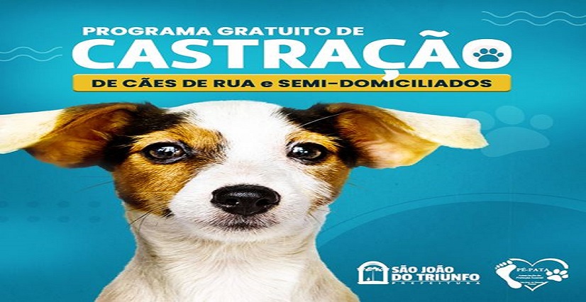 Programa de castração de fêmeas caninas já beneficiou mais de 100 animais em São João do Triunfo