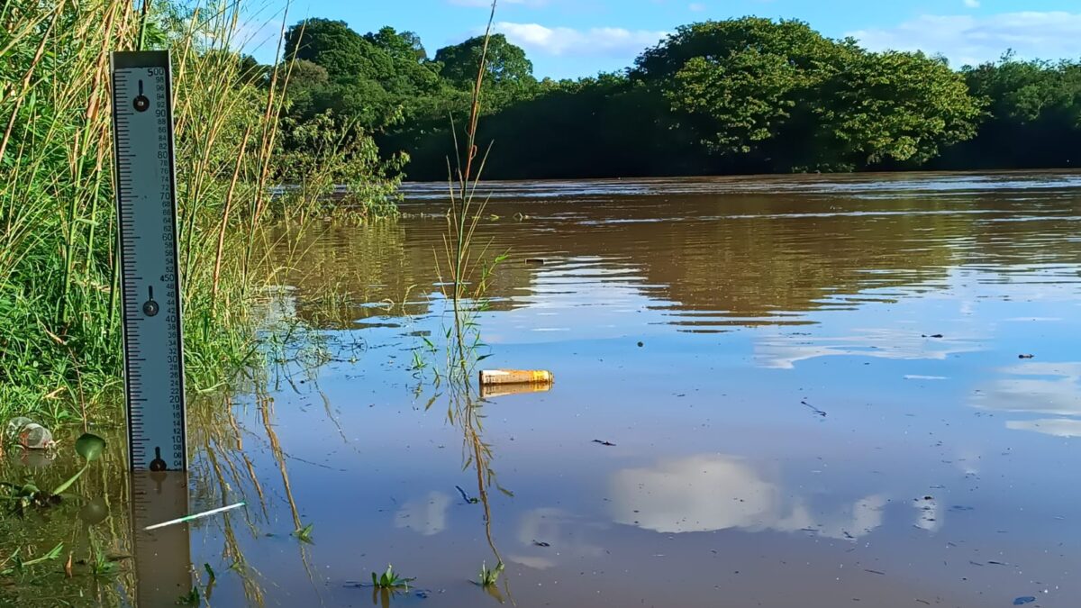 Nível do Rio Iguaçu chega a 4 metros em São Mateus do Sul