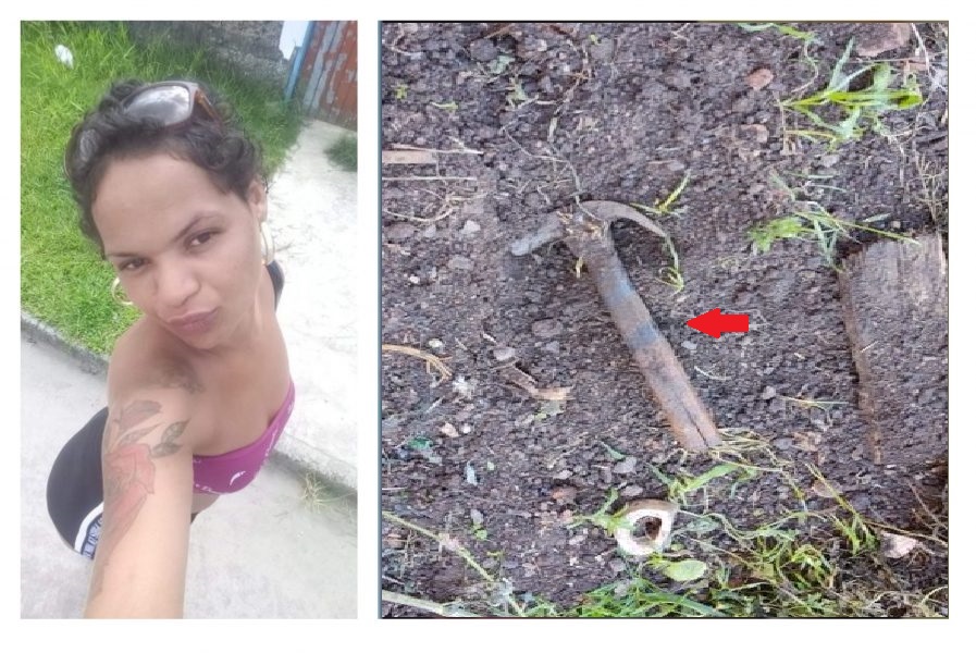 Homem que matou mulher a marteladas no PR se entrega a polícia alegando que estava sob efeito de drogas