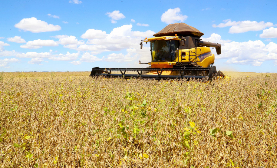 Condições climáticas influenciam queda estimada de 43% na produção de soja no Paraná