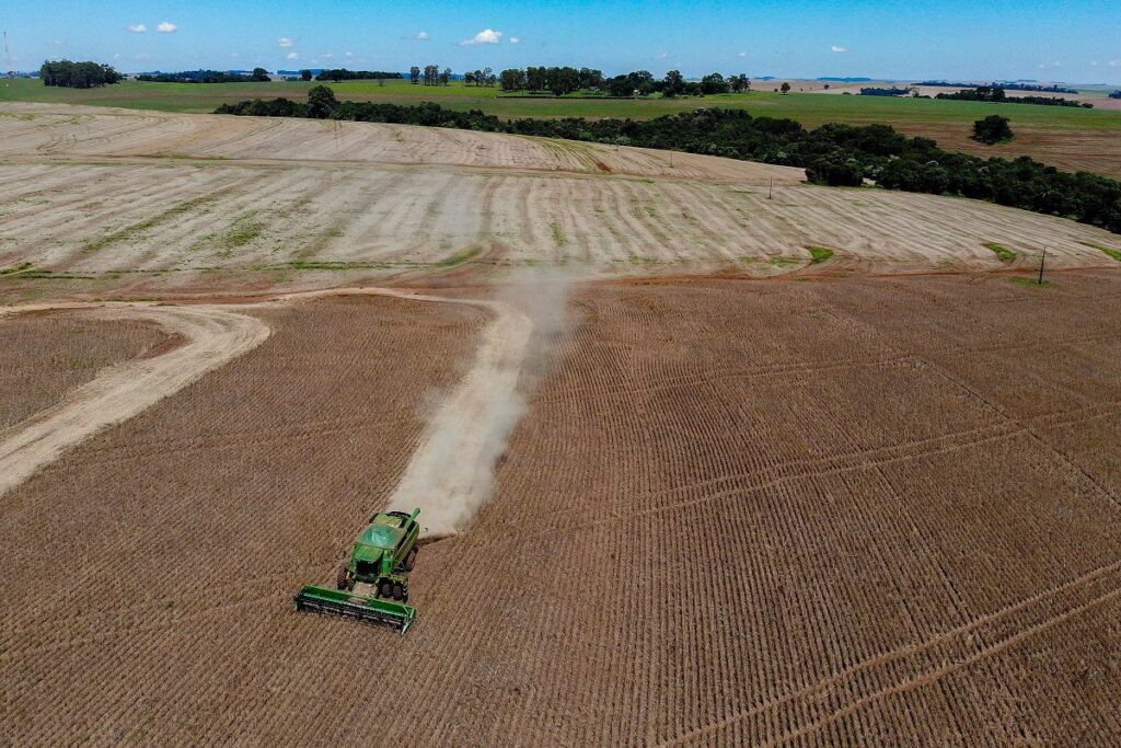 Colheita de feijão no Paraná é concluída com produção similar à safra anterior