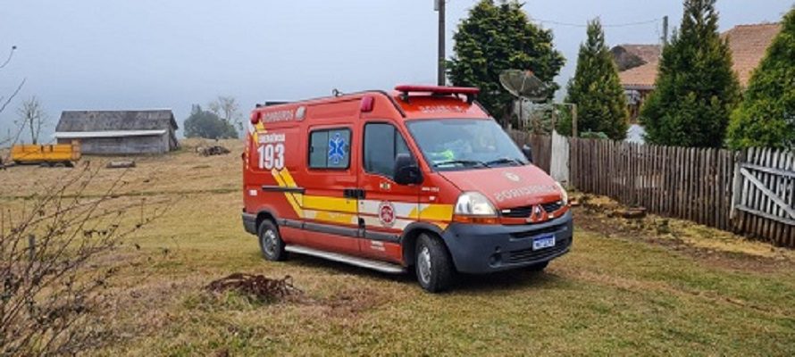 Após ser atingido por uma árvore, homem é socorrido em estado grave em Porto União