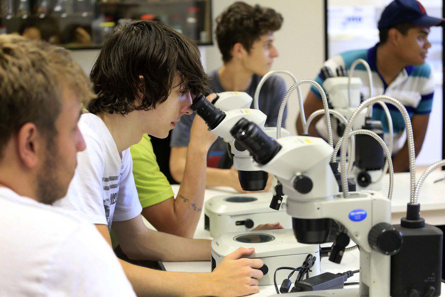 Cursos das Universidades Estaduais se destacam em avaliação do MEC