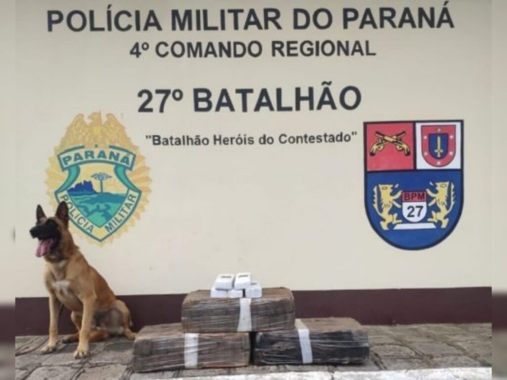 Mais de 50kg de drogas foram apreendidas em perseguição policial em União da Vitória e Porto Vitória