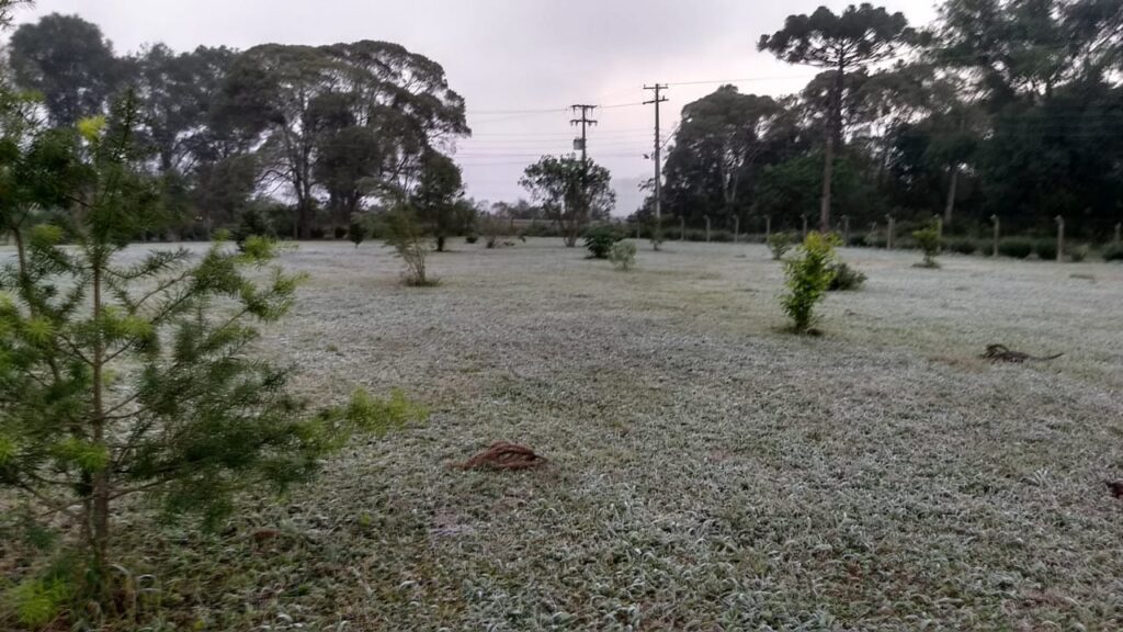 Contagem regressiva para a chegada do frio intenso no Paraná