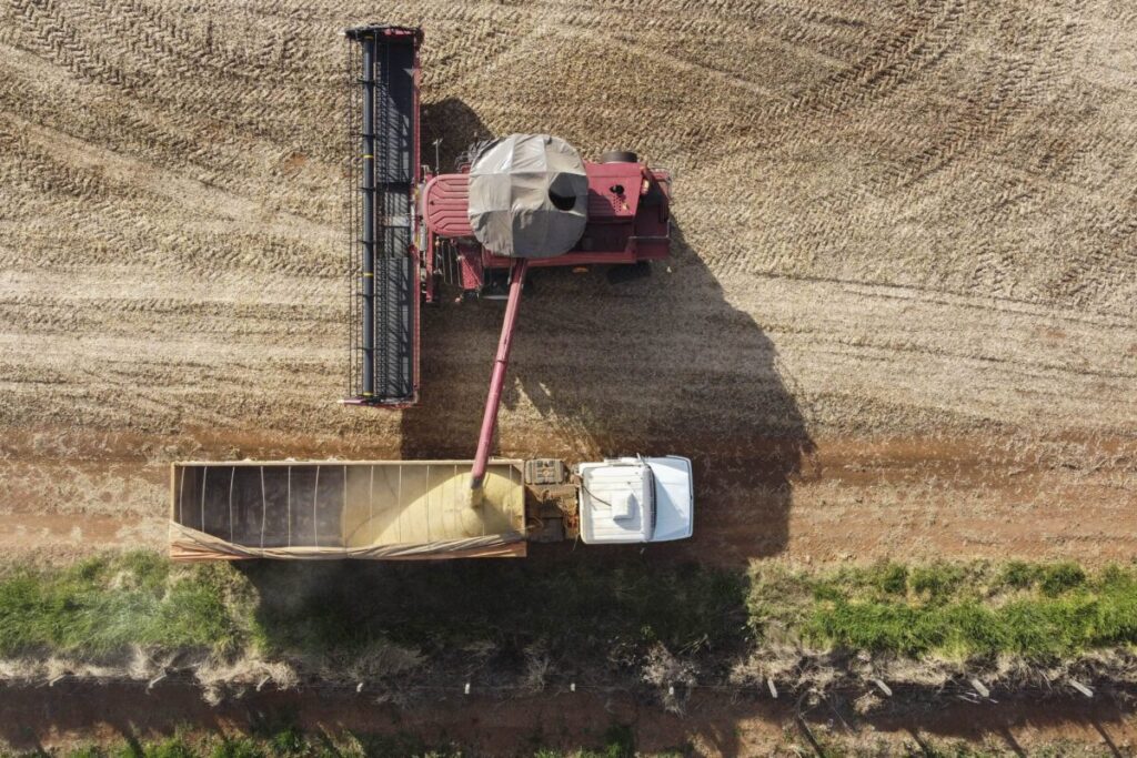 São Mateus do Sul  está próximo no ranking das 34 cidades do PR que têm valor bruto de produção agropecuária acima de R$ 1 bilhão