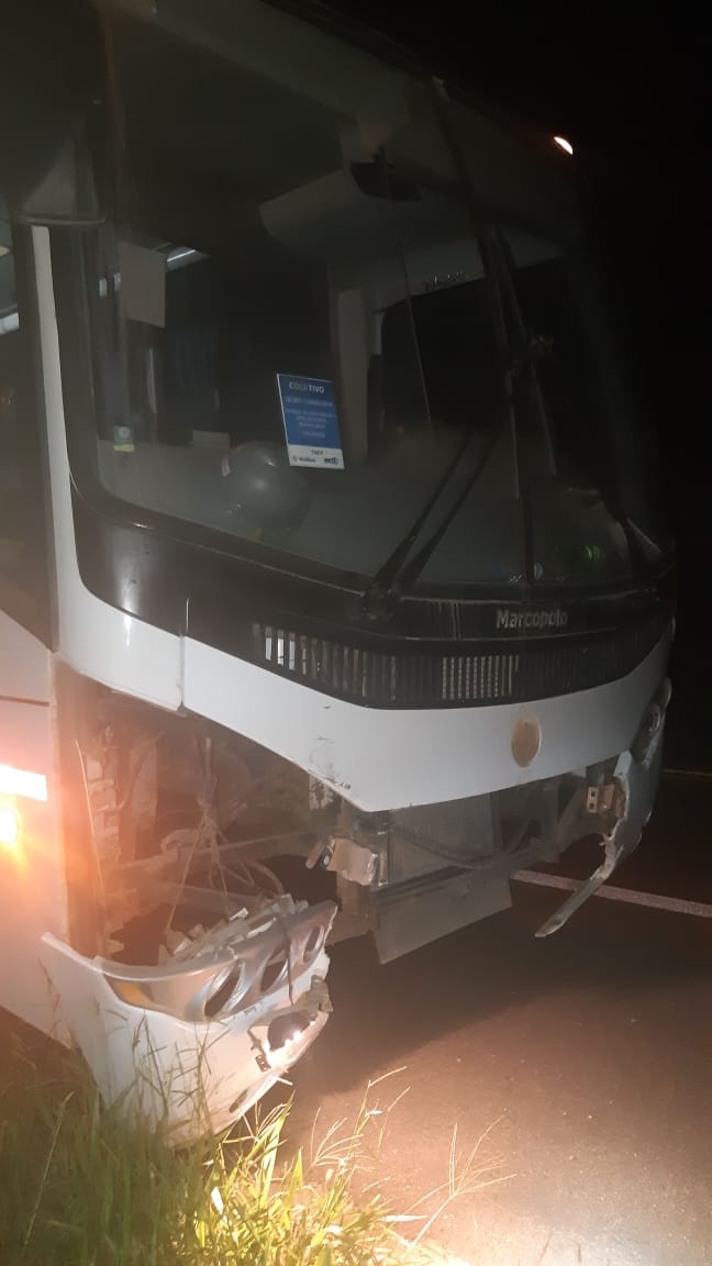Acidente na BR 476 deixa uma vítima
