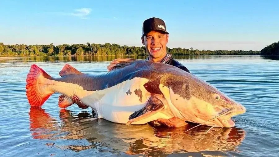 Pescaria: brasileiro bate recorde mundial ao capturar peixe de 70 kg no Rio Xingu