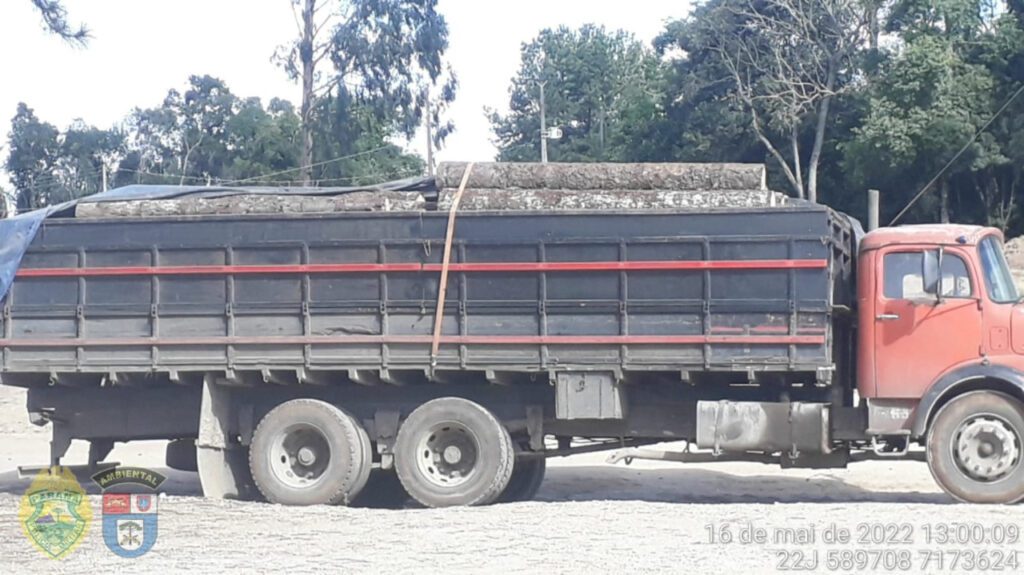 Polícia Ambiental apreende caminhão transportando toras de araucária irregularmente em Palmeira