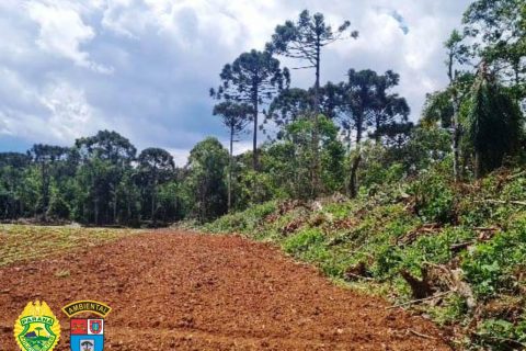 Após denúncia por crime ambiental, infratores recebem multa de R$ 248 mil reais em Prudentópolis