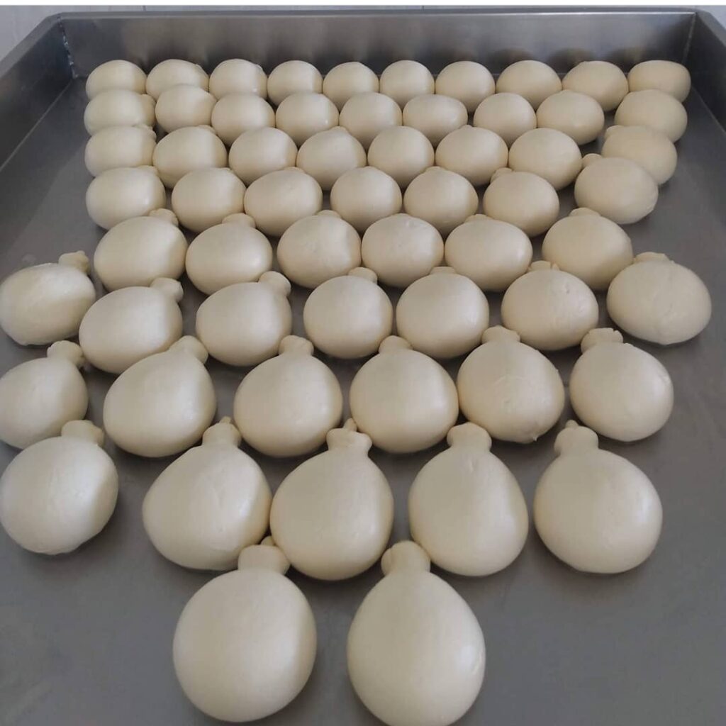 Queijo “porungo” produzido em Palmeira é premiado em concurso internacional de queijos artesanais