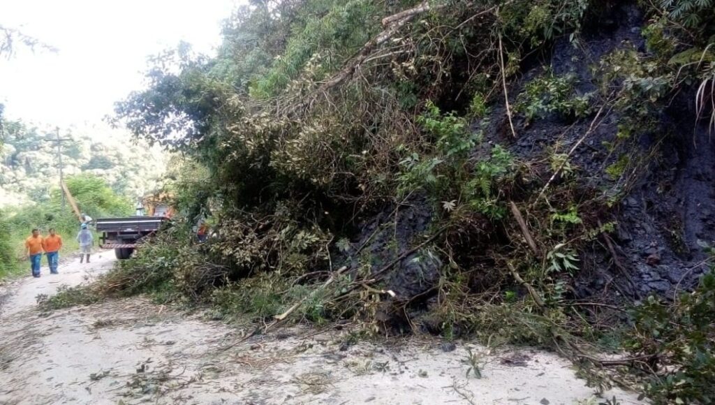 Fortes chuvas causam deslizamentos e PR-090 é interditada em Campo Largo