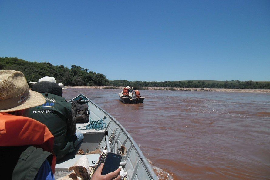 Período de restrição à pesca de espécies nativas inicia em novembro