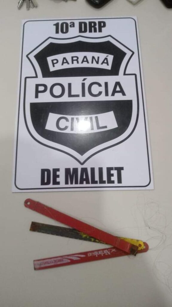 Adolescente é flagrado arremessando objetos para dentro da delegacia de Mallet