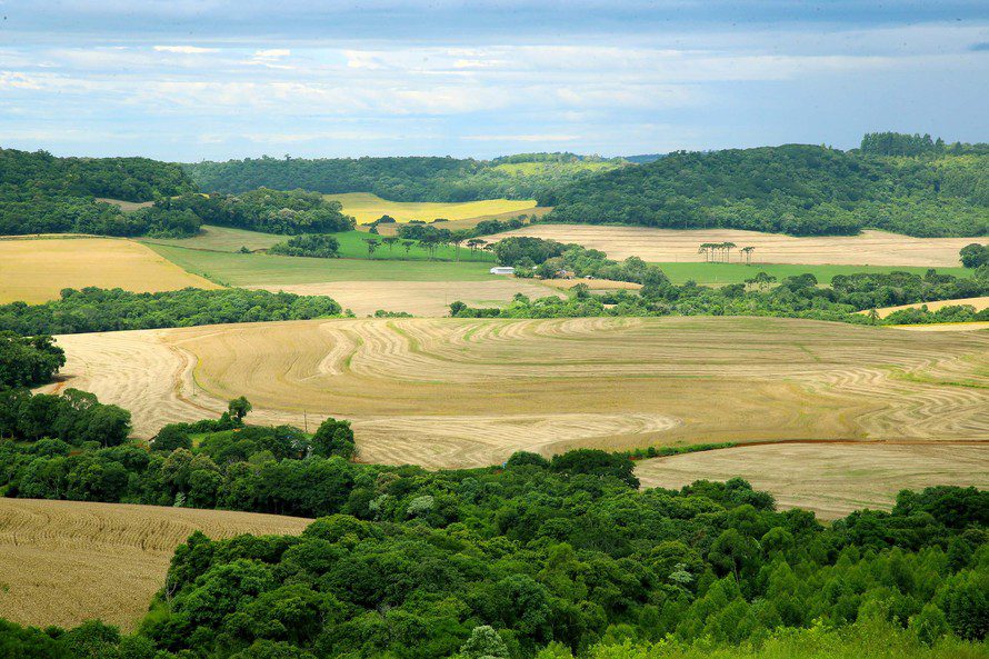 Começa hoje prazo para entrega da declaração de propriedade rural