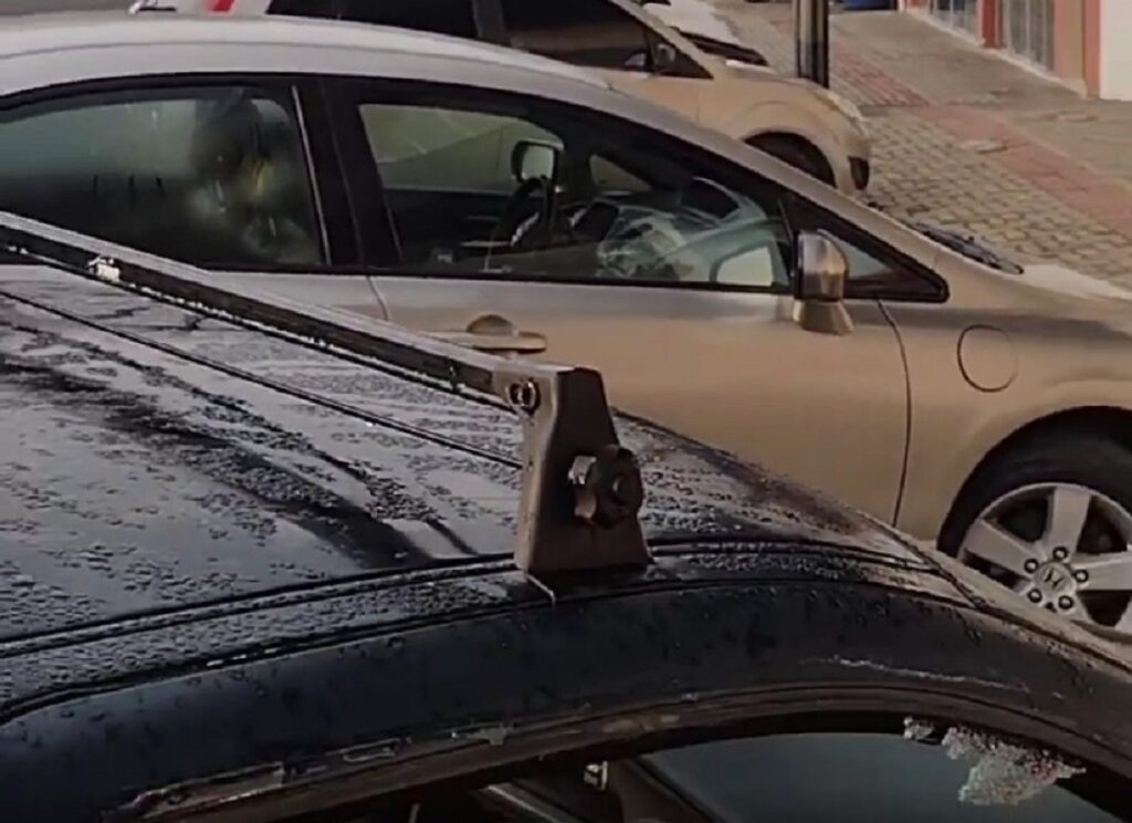 Carros danificados no Centro, furto e recuperação de caminhonete pela PM de São Mateus do Sul