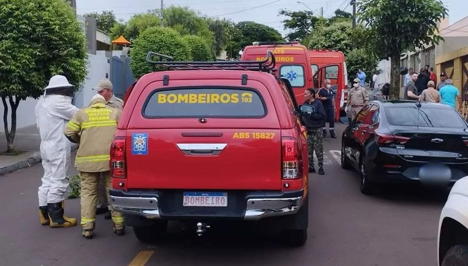 Homem urina em colmeia e ataque de abelhas deixa mais de 10 feridos no Paraná