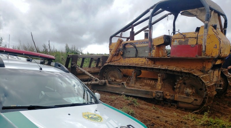 Homem é preso em flagrante por crime ambiental em Teixeira Soares