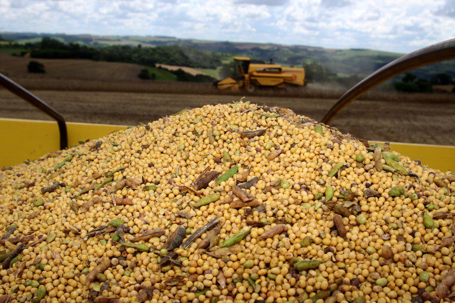 Valor Bruto da Produção Agropecuária no Paraná em 2019 pode atingir R$ 93 bilhões