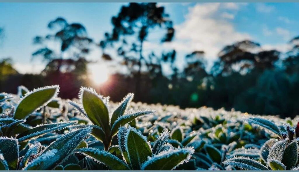 TEMPO: termômetros vão despencar e final de semana vai ser gelado, com temperaturas perto dos 0ºC