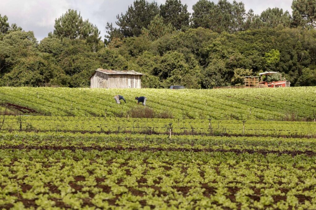 Governo vai focar ações na agricultura familiar