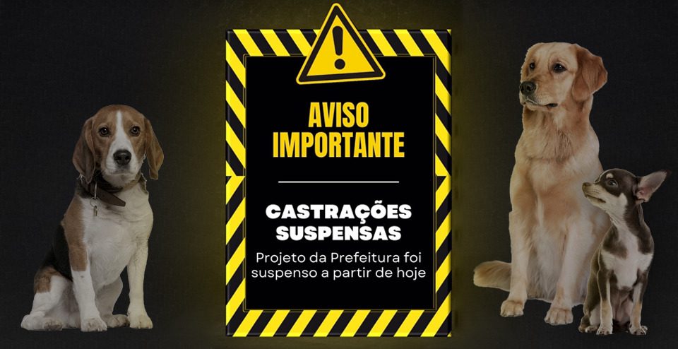 Contratos de apoio a ONG Pé-Patas de São João do Trinfo são suspensos pela prefeitura