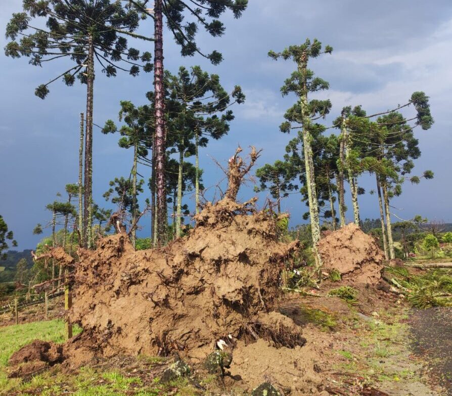 Força-tarefa com equipe de resgate é chamada para atendimentos em Paulo Frontin após tempestade