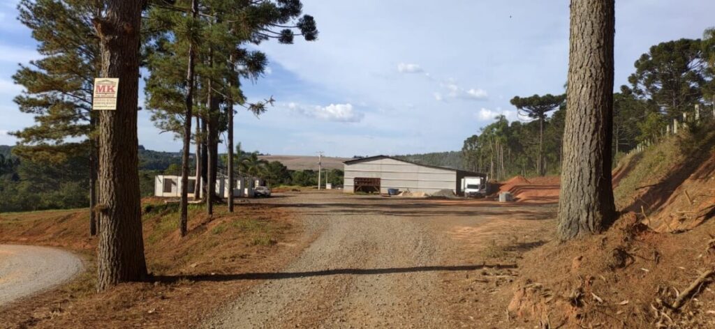 Beneficiadora de batatas é alvo de furto em Antônio Olinto