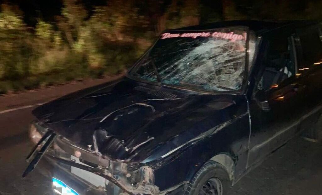 Acidente em Três Barras: homem fica ferido e cavalo morre em colisão na SC-303