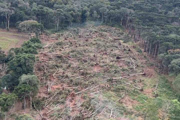 Operação fecha depósito ilegal em São Mateus e Antônio Olinto lidera autos de infração ambiental; multas chegam a R$ 4,1 milhões