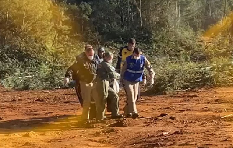 Homem tem cabeça esmagada por árvore no Paraná durante poda