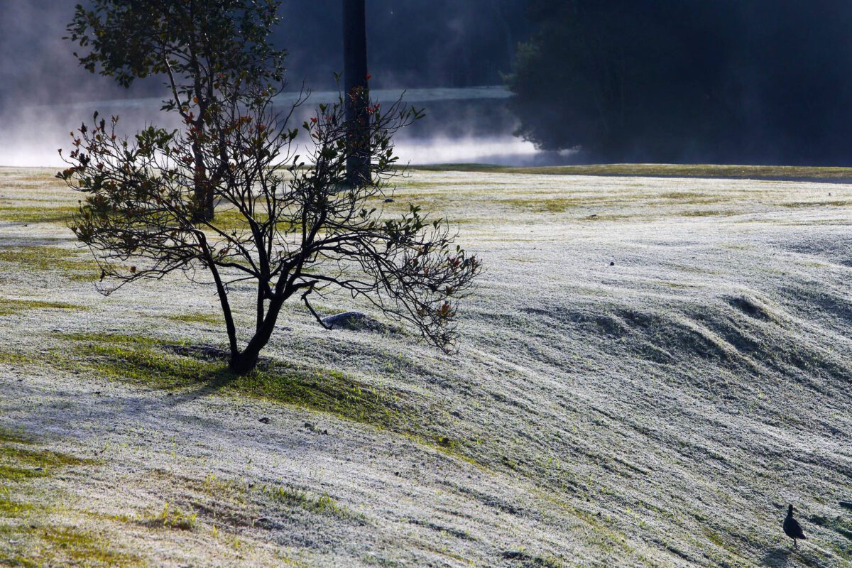 Temperaturas negativas foram registradas nesse domingo no Paraná