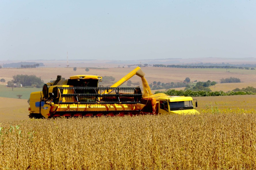 Clima irregular atrasa o plantio da soja no Paraná