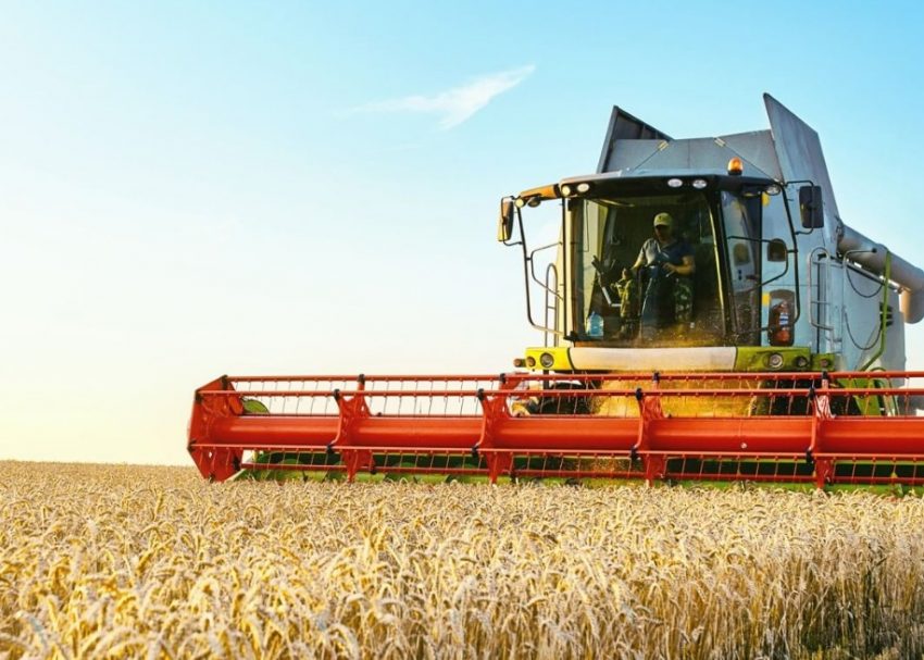 EUA deve flexibilizar plantio agrícola em áreas de programa de conservação de reservas