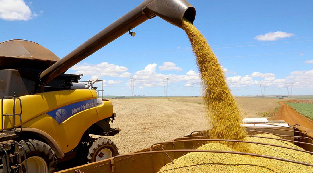Safra brasileira registra recorde de valor comercializado, com ligeira redução no total produzido