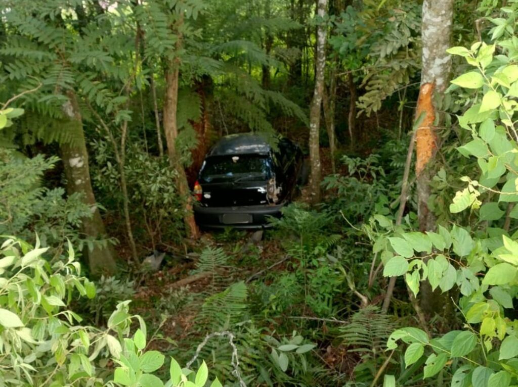 Carro se envolve em acidente tipo saída de pista na BR-476