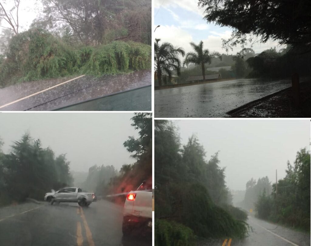 Temporal tranca passagem na PR-364, região do Paiol Grande interior de São Mateus do Sul